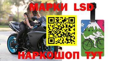прущие грибы Малоярославец