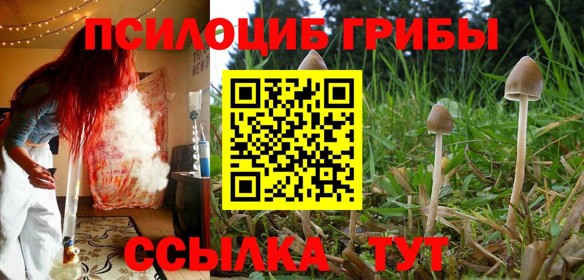 Псилоцибиновые грибы ЛСД Шатура