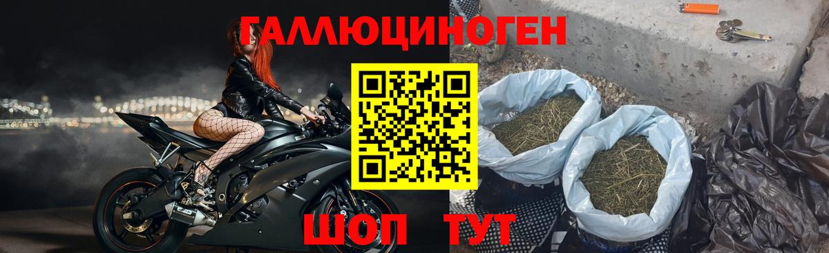 Псилоцибиновые грибы мицелий  Галлюциногенные грибы Magic Shrooms  Шатура  Вход с VPN 
